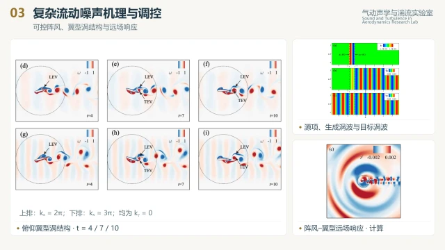 可控阵风、俯仰翼型涡结构与远场响应，由原始PPT材料组合 / Controlled gusts, pitching-airfoil vortices and far-field response; assembled from original presentation materials