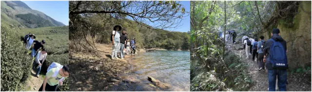 实验室成员在福泉山徒步的三幅场景